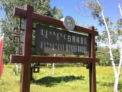-半拉山景区