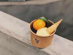 四会沙糖桔雪糕-歎雪糕低糖低脂Gelato冰淇淋