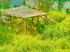 -泉州海丝野生动物世界