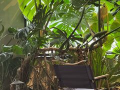 -J Create城市露营咖啡·简餐·宠物(上海动物园店)