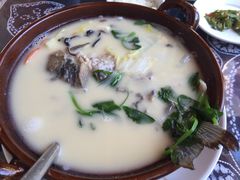 -福照楼汽锅鸡·云南菜(护国路店)
