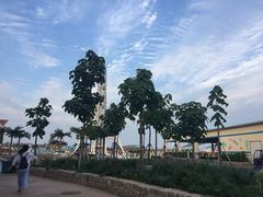 -秦皇岛乐岛海洋王国