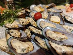 -东西风牛排馆周末烧烤自助(首都机场希尔顿店)