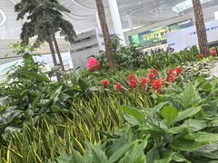 -青岛胶东国际机场