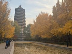 -玲珑塔公园