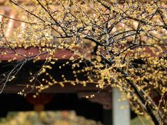 -杭州上天竺法喜讲寺