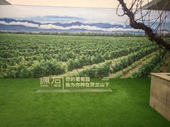 -源石酒庄