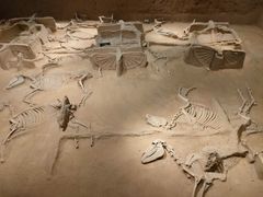 -洛阳周王城天子驾六博物馆