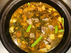 骨架-老大鸡骨架