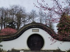 -杭州植物园