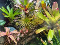 -Rabbit Cafe私房西餐甜点咖啡(栖霞路店)