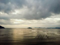 -北岐滩涂