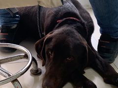 -百信宠物医院(东升街店)