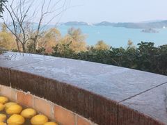 -天目湖涵田半山温泉