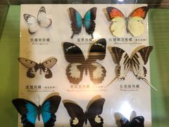 -蝴蝶泉公园