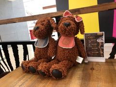 -ZOO COFFEE动物园咖啡(望京锐创店)
