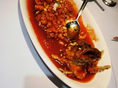 松子桂鱼-丰收日(五角场店)