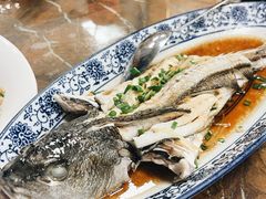 -老船长海鲜大排档(集美店)