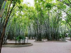 -晓港公园