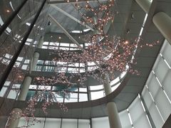 -南宁那莲豪华精选酒店-云霄酒廊·80楼高空城景酒吧