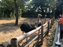 -大连森林动物园