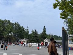 -日照海滨国家森林公园