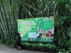 -海南热带野生动植物园