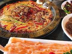 -一斗火锅·招财羊毛肚(泰吉滨江店)