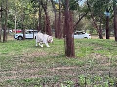 -秦皇岛野生动物园