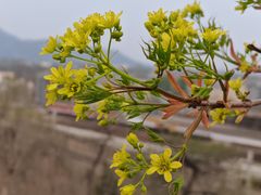 -白水寺森林公园