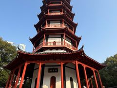 -绳金塔