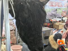 -中国农业博物馆
