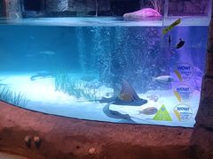 -沈阳海洋探索中心