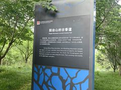 -阳台山自然风景区