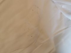 -如家商旅酒店(苏州绿宝广场何山路地铁站店)