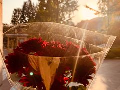 -Butchart布查德鲜花(花艺设计中心)