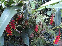 -三亚亚龙湾金棕榈度假酒店