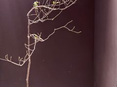 -长春银盐咖啡馆