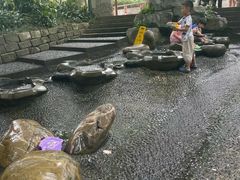 -成都市活水公园