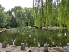 -玲珑塔公园