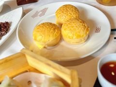 -顺德渔村·岭南一号