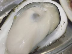 生蚝-蚝专家(北滘店)