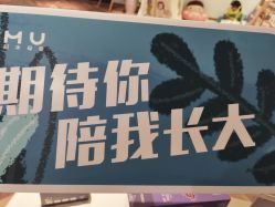 -明宇集团·积木枝芽母婴健康管理中心(天府店)