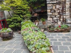 -寂照庵