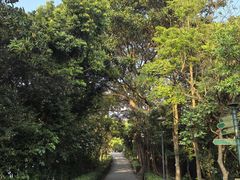 -东望洋炮台东望洋灯塔
