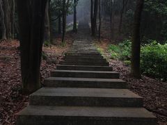 -火炉山森林公园