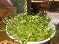 豌豆苗-北京老门框爆肚涮肉馆(凤城六路店)