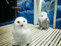 -成都浩海立方海洋公园