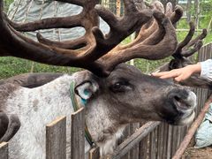 -北极村旅游风景区