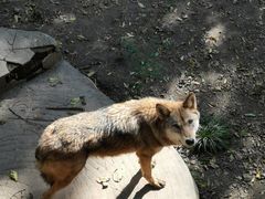 -哈尔滨北方森林动物园